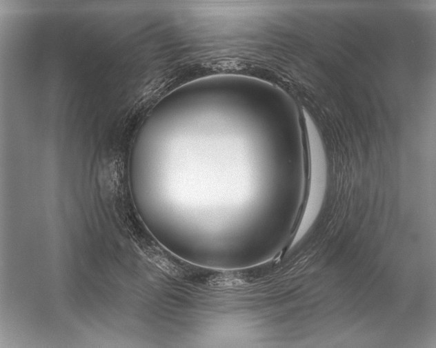 X0000053120747200507251723