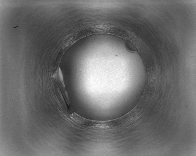 X0000053120749200507251723