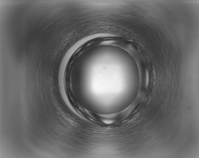 X0000053120750200507251723