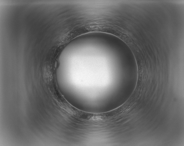 X0000053120751200507251723