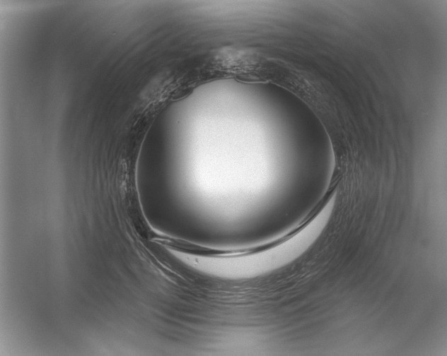 X0000053120752200507251723
