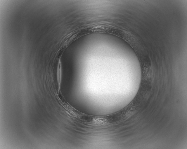X0000053120753200507251723