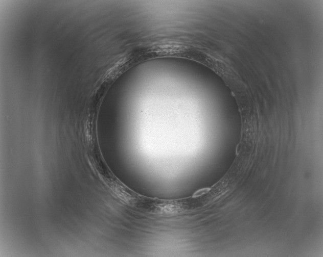 X0000053120755200507251723