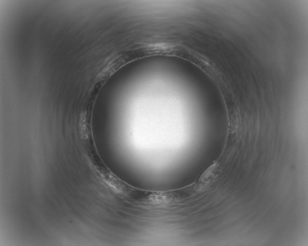 X0000053120764200507251723