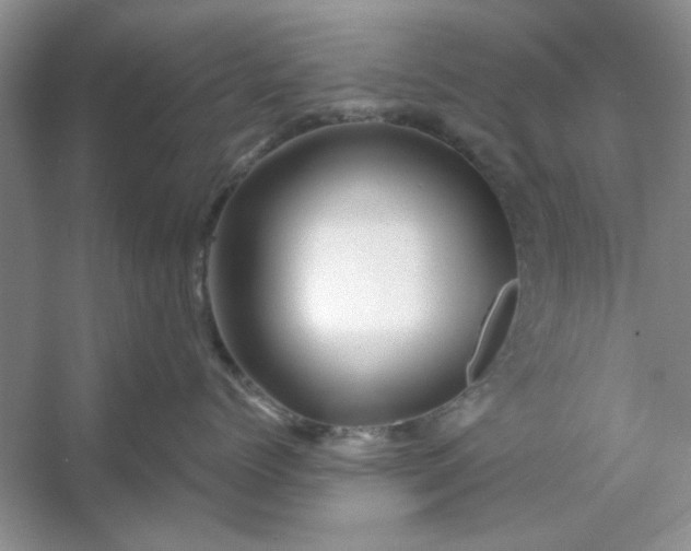 X0000053120768200507251723