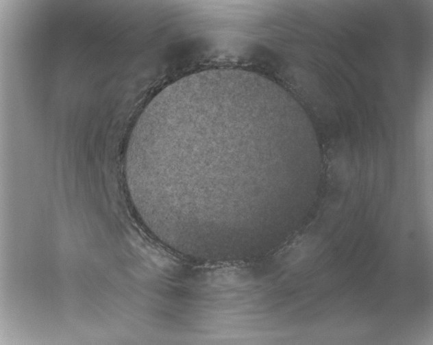 X0000053120769200507251722