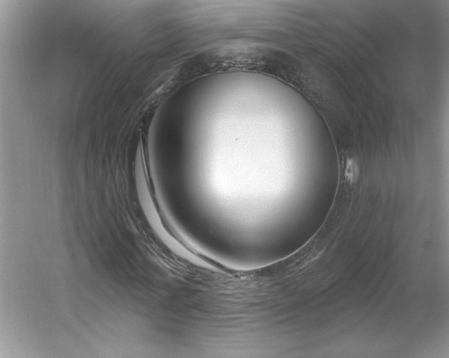 X0000053120771200507251722