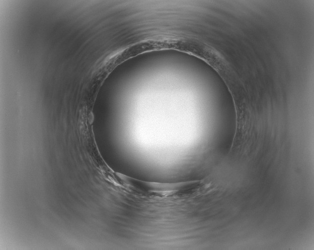 X0000053120773200507251722