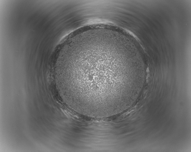 X0000053120775200507251722