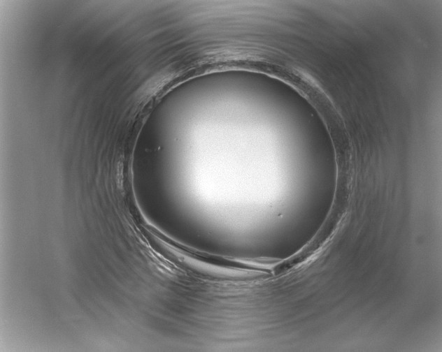 X0000053120777200507251722