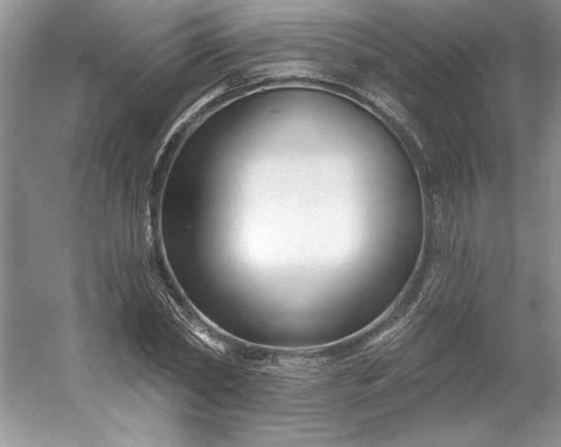 X0000053120782200507251722