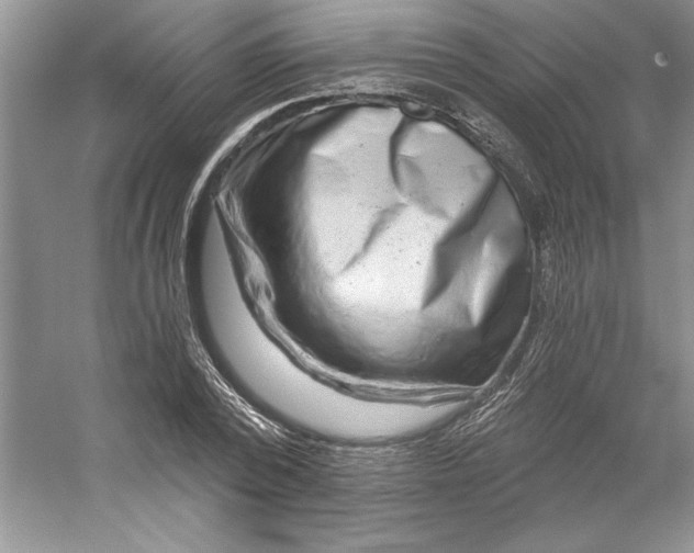 X0000053120784200507251722