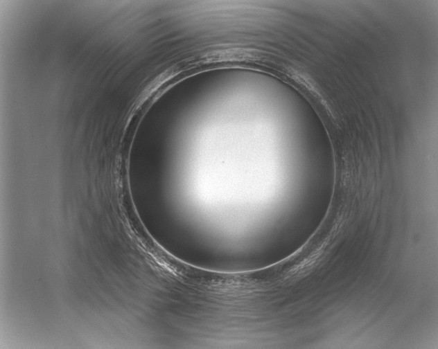 X0000053120786200507251722
