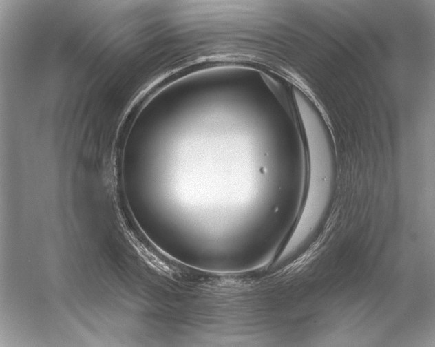 X0000053120787200507251722