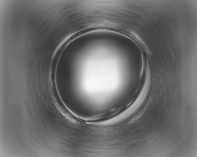 X0000053120788200507251722