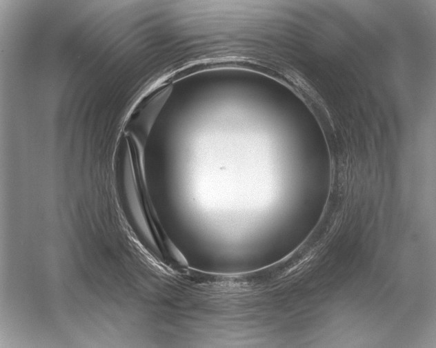 X0000053120789200507251722