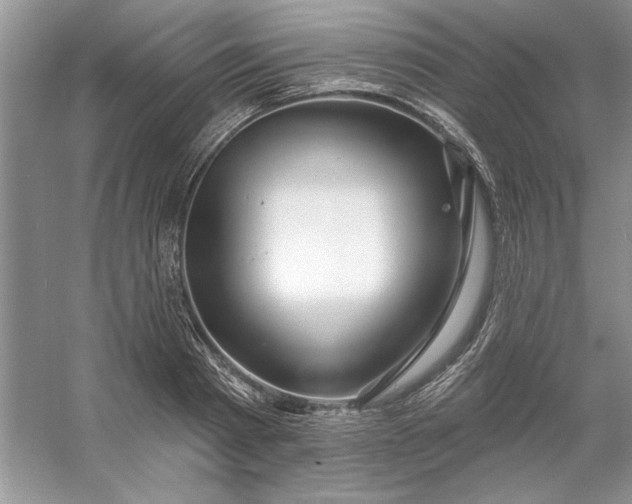 X0000053120793200507251722