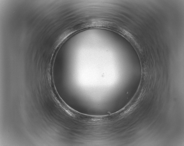 X0000053120794200507251722