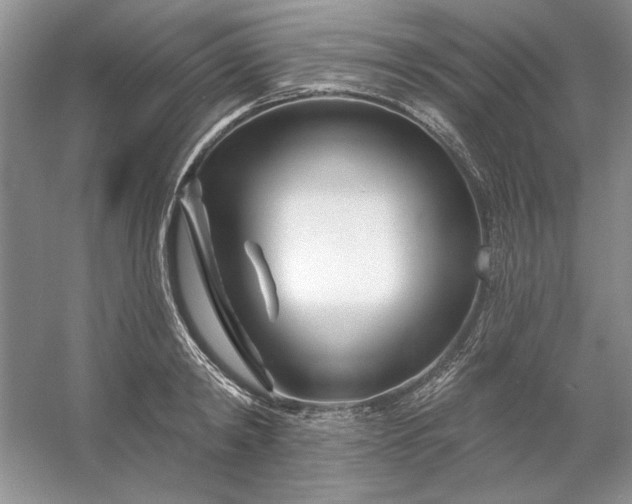 X0000053120798200507251722