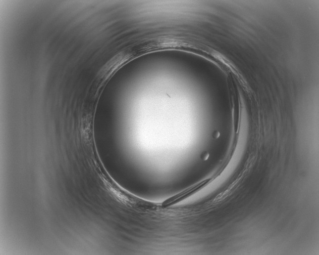 X0000053120801200507251722