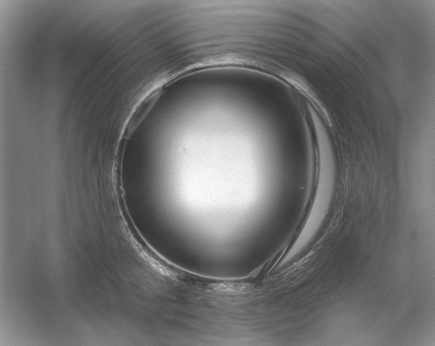 X0000053120805200507251722