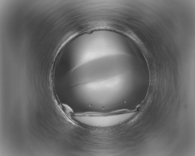 X0000053120806200507251722
