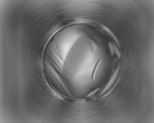 X0000053120810200507251721