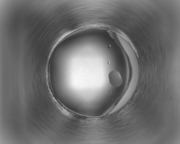 X0000053120811200507251721