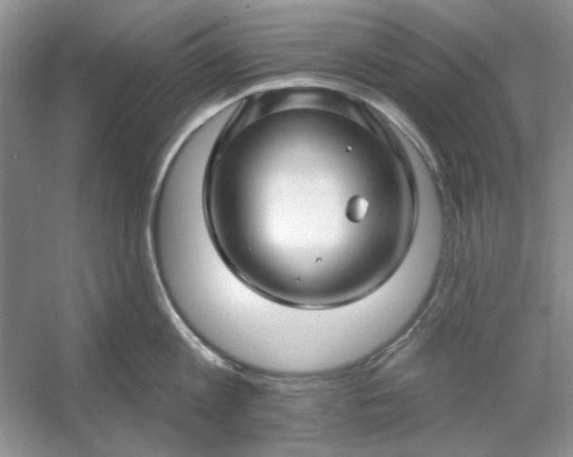 X0000053120813200507251721