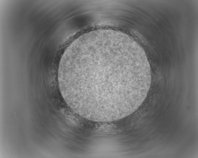 X0000053120824200507251721