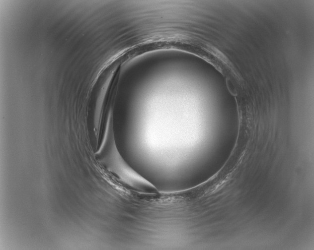 X0000053120826200507251721