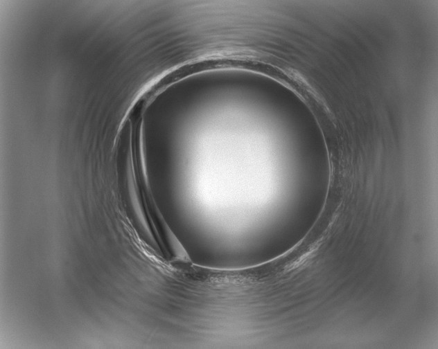 X0000053120830200507251721