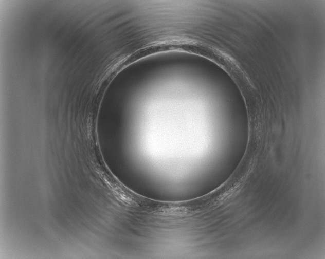 X0000053120833200507251721
