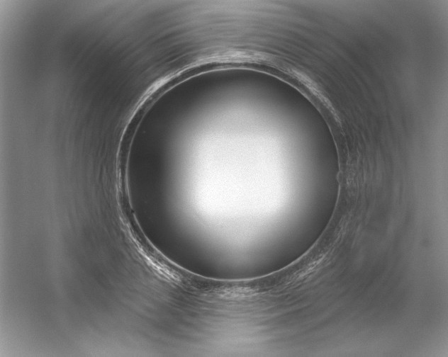 X0000053120837200507251721