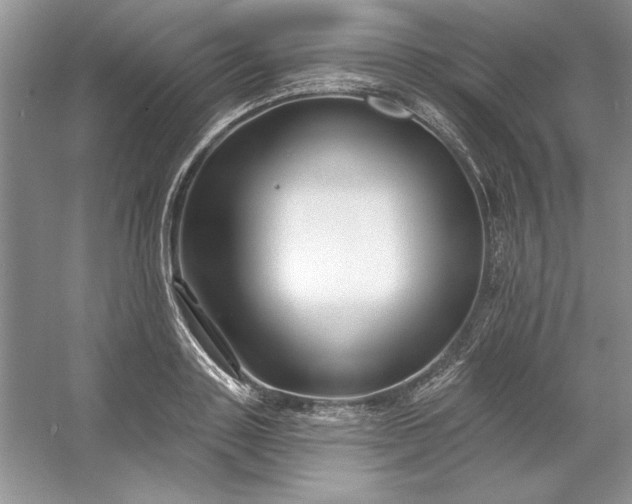 X0000053120843200507251721