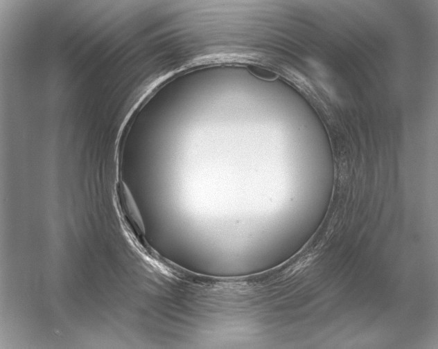 X0000053120844200507251721