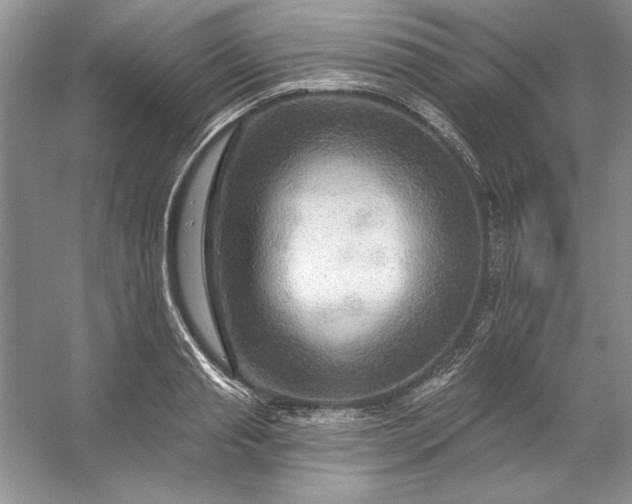 X0000053120845200507251721
