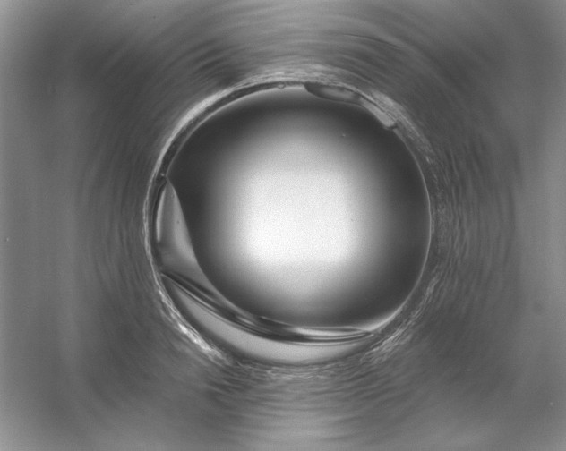 X0000053120846200507251721