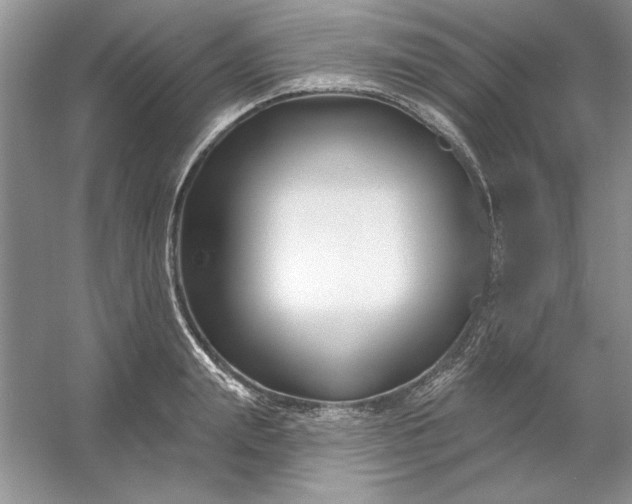 X0000053120847200507251721