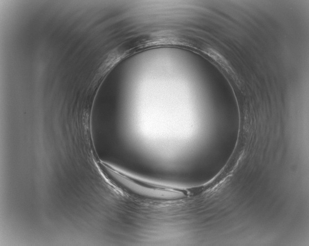 X0000053120849200507251721