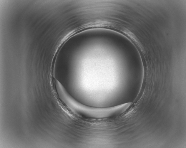 X0000053120850200507251721