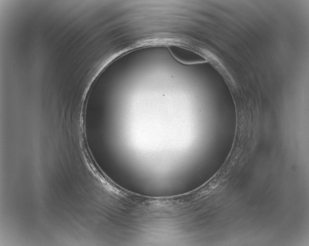X0000053120852200507251721