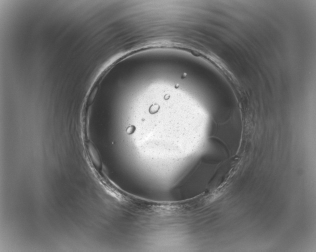 X0000053120854200507251721