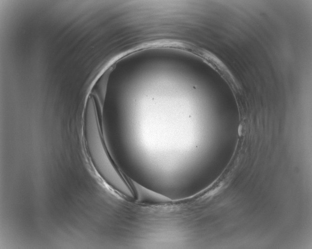 X0000053120860200507251721