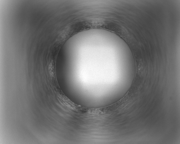 X0000053120866200507251721