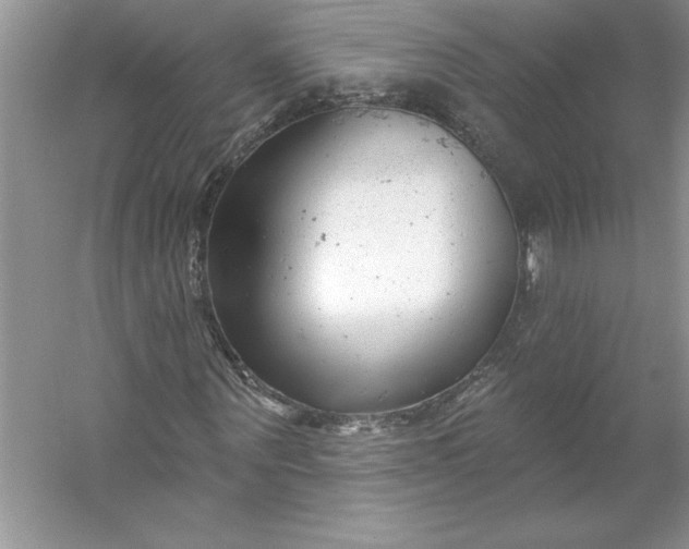 X0000053120867200507251721