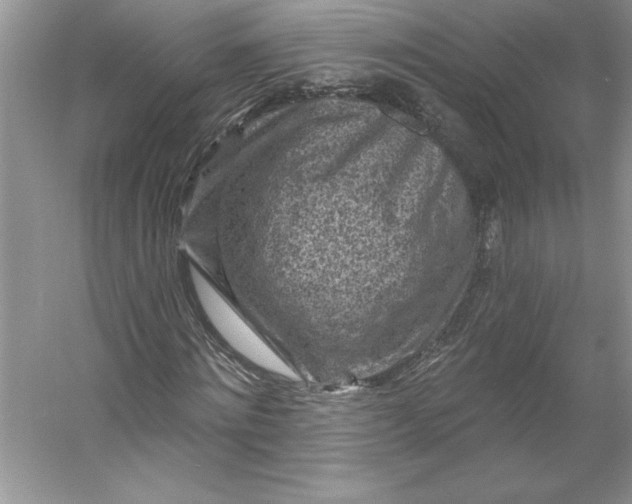 X0000053120868200507251720