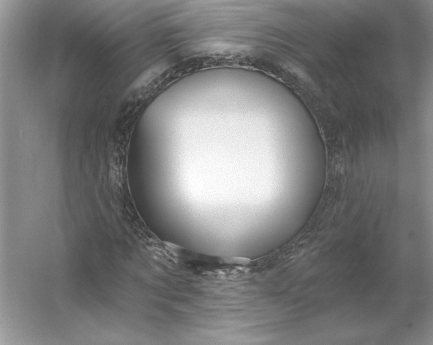X0000053120869200507251720