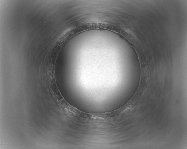 X0000053120870200507251720