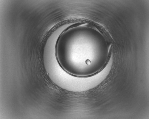 X0000053120871200507251720